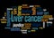 Liver cancer word cloud concept 3