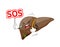 Liver cartoon character holding SOS sign.