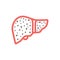 Liver cirrhosis disease. Human body organs anatomy icon. Medical concept. Vector illustration.