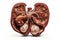 liver Cute cartoon healthy human anatomy internal organ character set with brain lung intestine heart kidney liver and