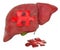 Liver disease concept, 3D rendering