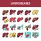 Liver diseases line icons set. Isolated vector element.