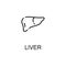 Liver flat icon