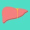 Liver flat icon, medicine and healthcare