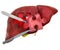 Liver or gallbladder surgery concept, 3D rendering