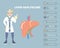 liver healthcare with doctor, internal organs anatomy body part nervous system, infographic, concept