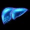 Liver hologram, liver pain. Concept for technology, hepatitis treatment, donation, online diagnostics. 3D rendering, 3D