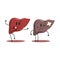 Liver Human Internal Organ Healthy Vs Unhealthy, Medical Anatomic Funny Cartoon Character Pair In Comparison Happy