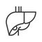 Liver, human organ related outline vector icon