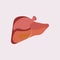 Liver Icon Flat logo Style Organs Of The Human template Design