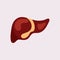 Liver Icon Flat logo Style Organs Of The Human template Design