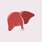 Liver Icon Flat logo Style Organs Of The Human template Design