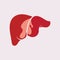 Liver Icon Flat logo Style Organs Of The Human template Design