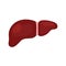 Liver icon on a white background for logo, design, interface, site