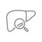 Liver with magnifying glass line icon. Organ research, disease prevention symbol