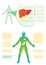 Liver medical info-graphic. Medical vectorinfo-graphic.