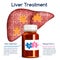 Liver treatment concept