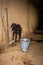 Livestock goats and cattle tied inside a mud house in rural Uttarakhand, India. Farming and Animal Husbandry