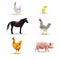 Livestock, horse chicken chicken cow pig pig vector illust