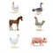 Livestock horse chicken chicken, cow pig pig vector illust