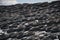 Livestock manure weighted with tires for fermentation covered with vinyl sheet