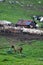 A livestock settlement in the mountainous areas where cattle breeders prepare dairy products during the summer