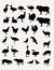 Livestock Silhouettes