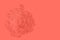 Living coral pantone color of the year 2019 love paper hearts background