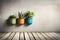 Living Decor: A Closer Look at Different Plants in Pots on Concrete Wall