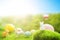 Living Easter bunny with easter eggs on meadow in spring of Dreamland or fairy world