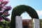 Living green arch of thuja over the gate