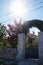 Living green arch of thuja over the gate