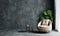 Living room with armchair sofa and Monstera plant on empty and copy space loft concrete wall background. Interior and architecture