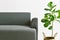 Living room interior design, Home decor with modern fabric sofa and green houseplants for indoor