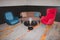 The living room sofa set has a blue, red, brown sofa and a glass table in the middle. For placing glasses and flowers adorned for