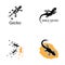 Lizard Chameleon Gecko animall logo and symbol vector illustration