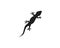 Lizard Chameleon Gecko Silhouette black