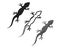 Lizard Chameleon Gecko Silhouette black