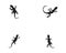 Lizard Chameleon Gecko Silhouette black vector 10