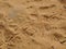 Lizard footprints in the sand trails, detailed close up macro in red cliffs desert reserve in by St George Utah, USA