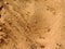 Lizard footprints in the sand trails, detailed close up macro in red cliffs desert reserve in by St George Utah, USA