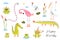 Lizard, frogs, alligators, crocodiles and flamingo with duck or cane birds. Swamp and lake doodle animals clipart