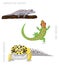 Lizard Gecko Set Cartoon Vector Illustration
