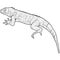 Lizard is goanna silhouette on a white background