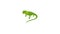 Lizard icon animation