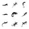Lizard icons set, simple style