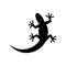 lizard logo