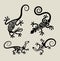 Lizard ornament symbols set