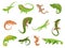 Lizard pet. Tropical reptile animals gecko, chameleon and iguana. Newt and salamander, cute colorful lizards isolated