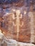 Lizard petroglyph in Dinosaur National Monument, Utah, USA